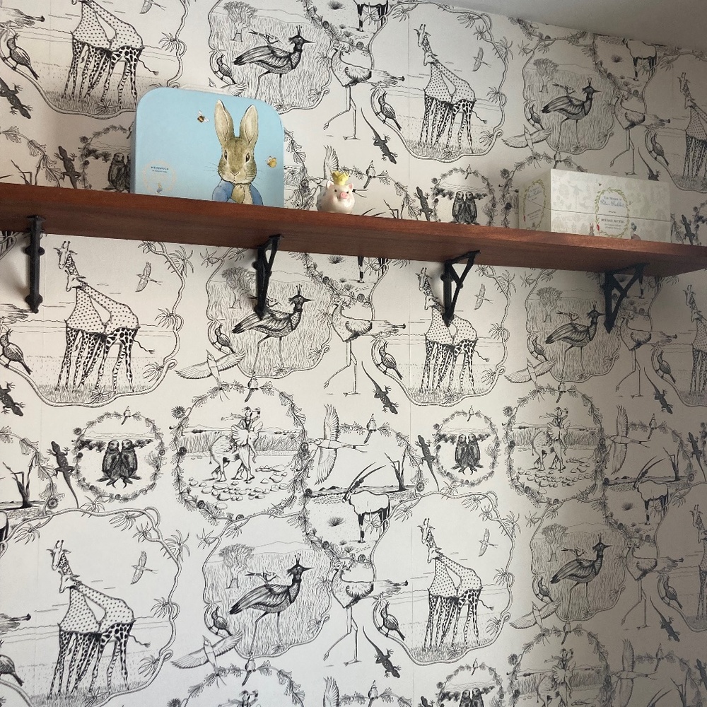 Anthropology Kalahari Vignettes wallpaper